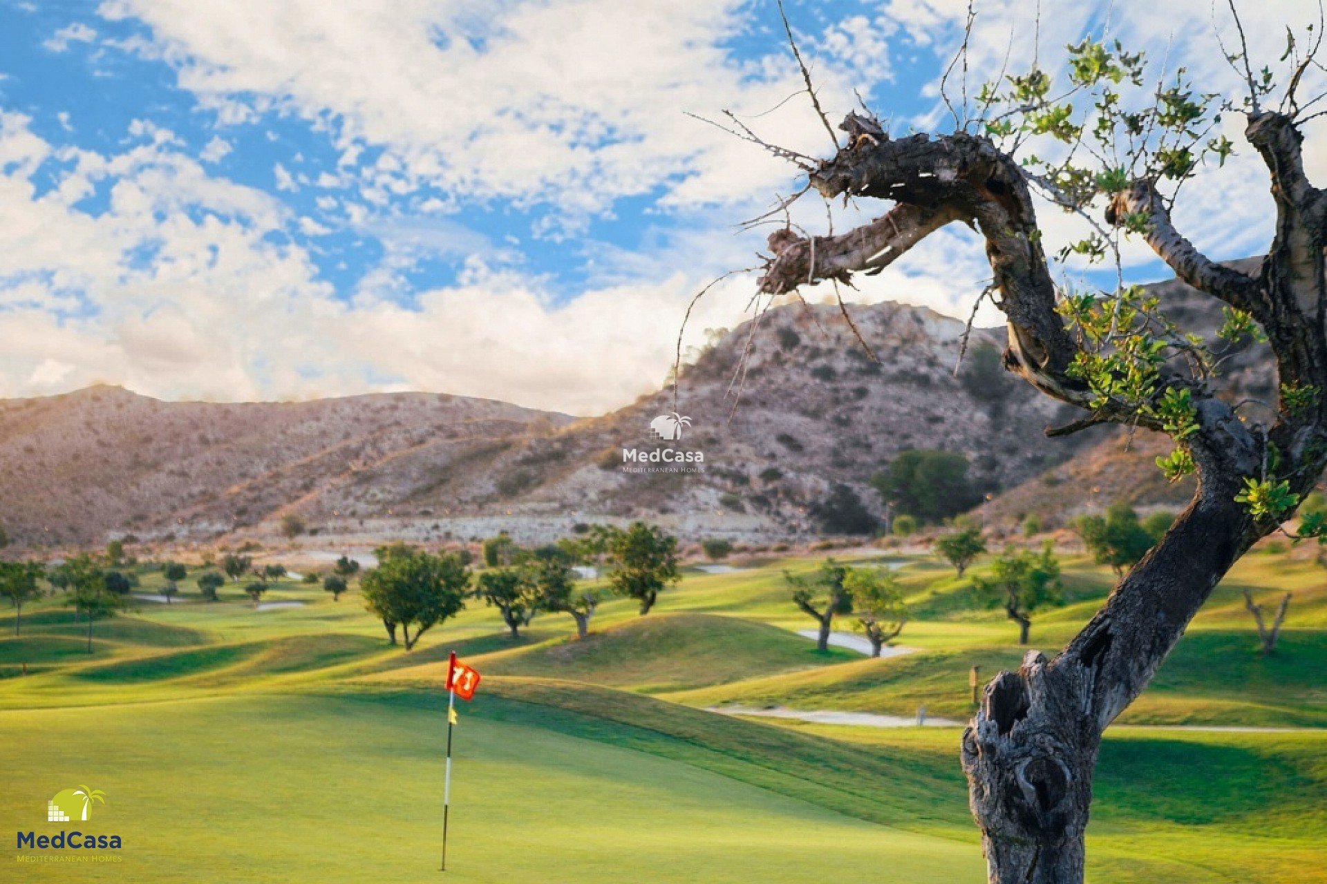 Neubau - Reihenhaus -
Monforte del Cid