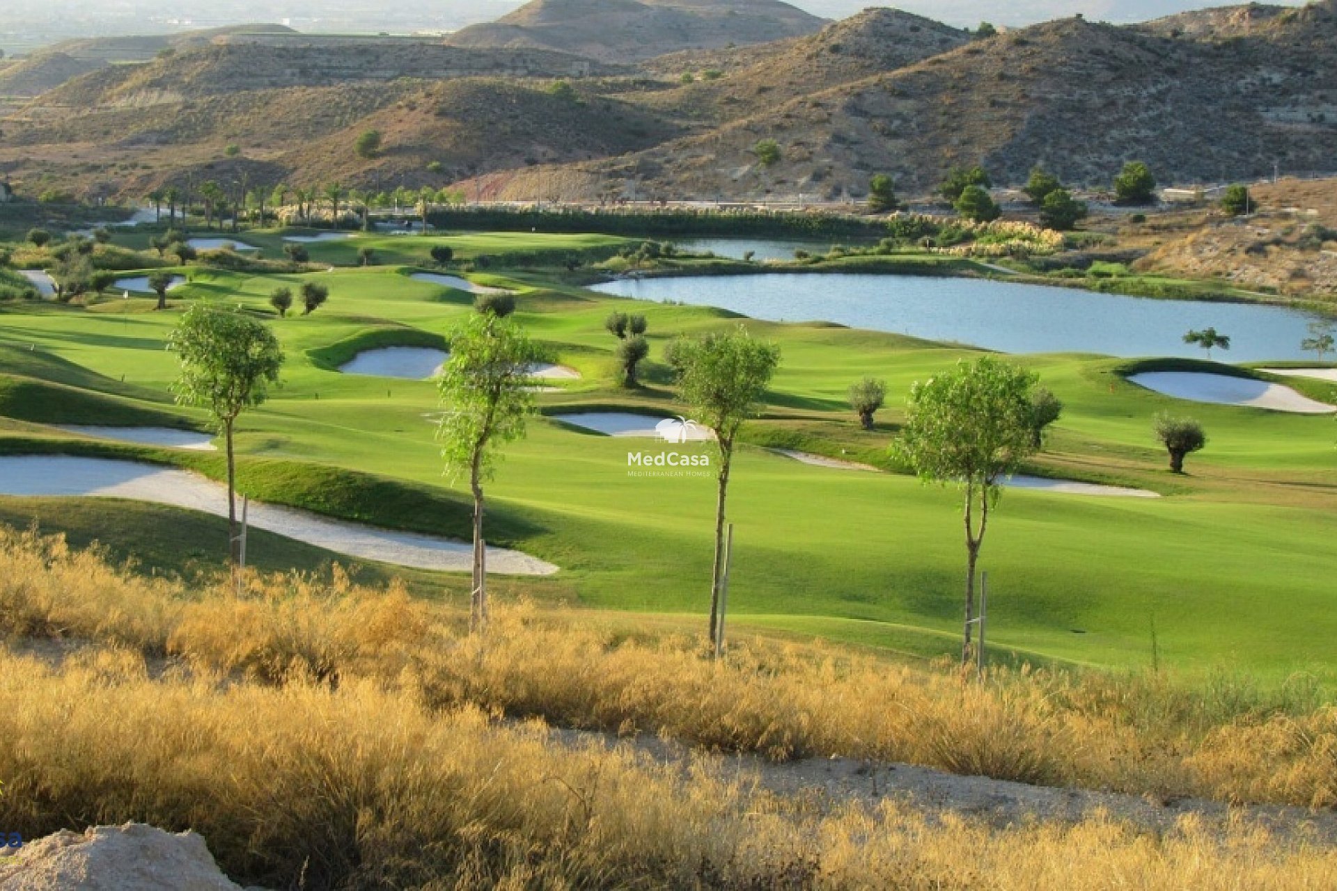 Neubau - Villa -
Monforte del Cid