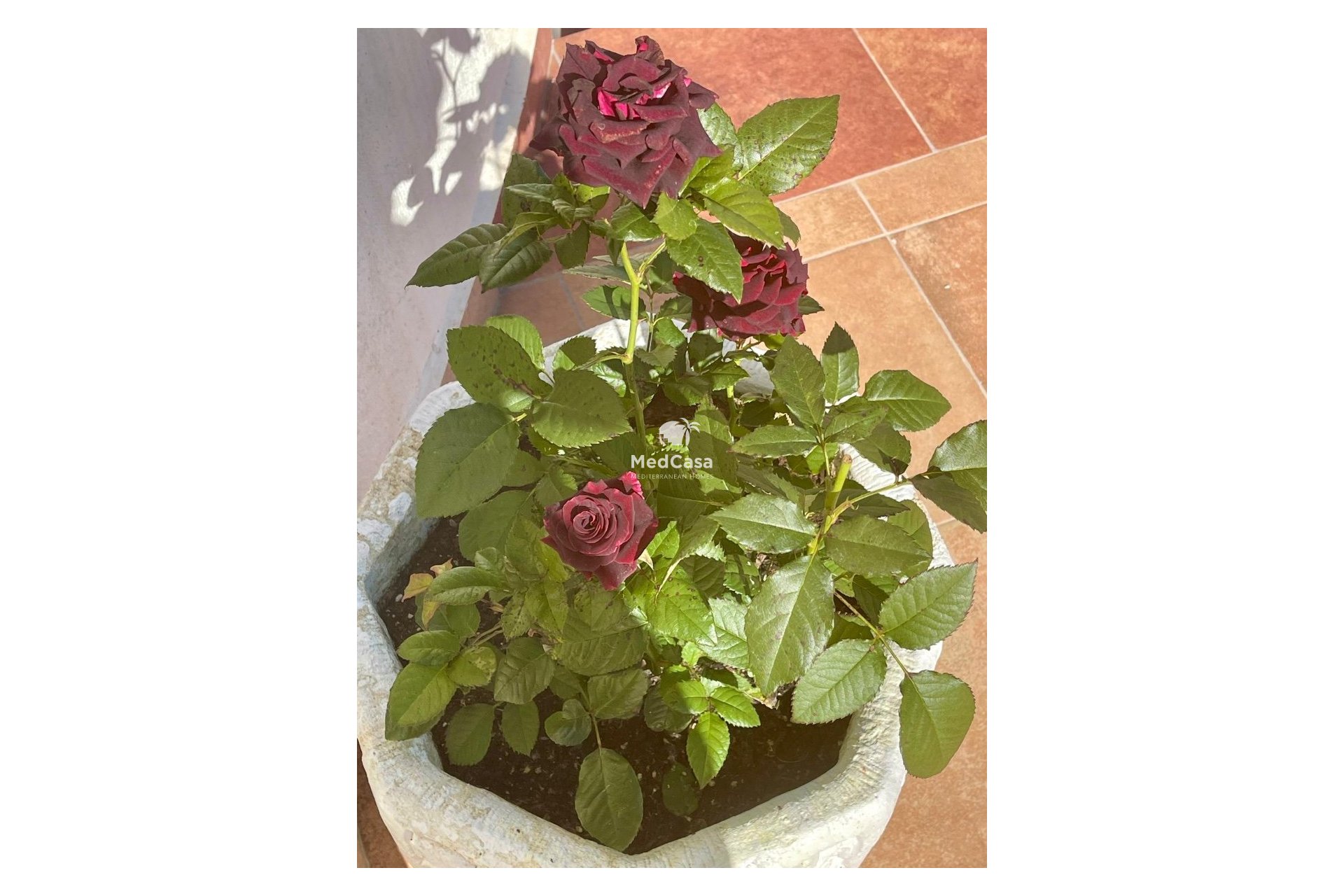 Segunda mano - Villa -
Moraira - Benimeit