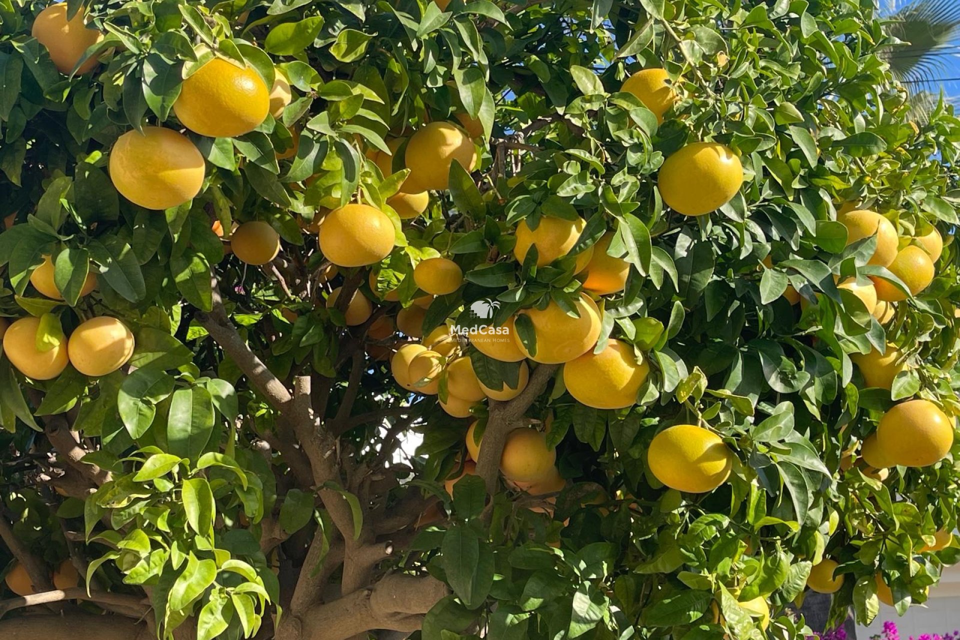 Segunda mano - Villa -
Moraira - Benimeit