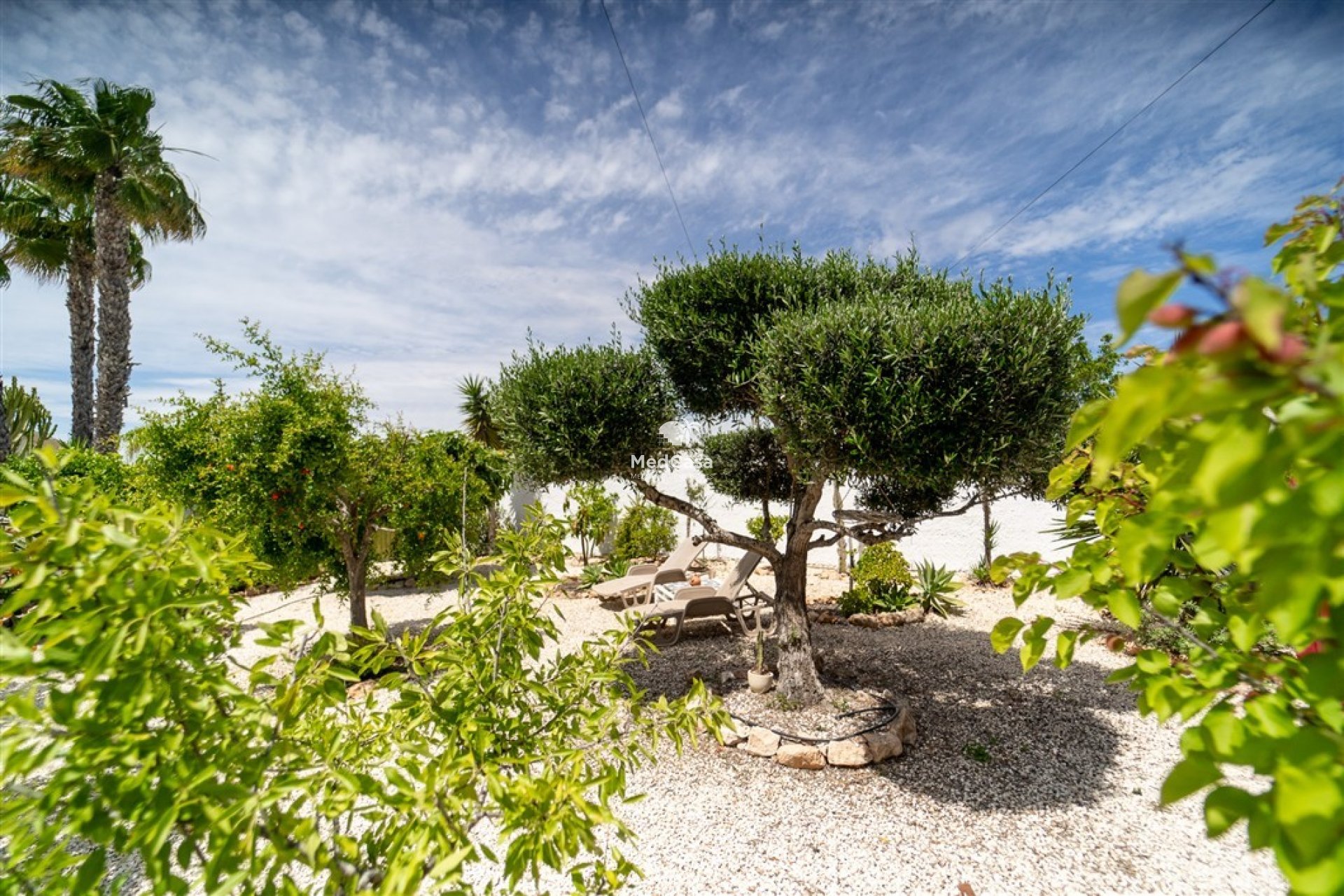 Segunda mano - Villa -
Torrevieja - El chaparral