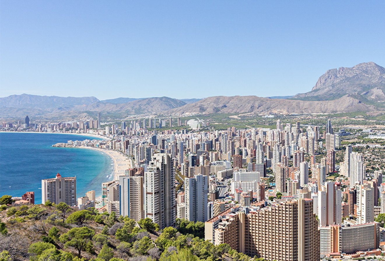 New Build - Apartment -
Benidorm