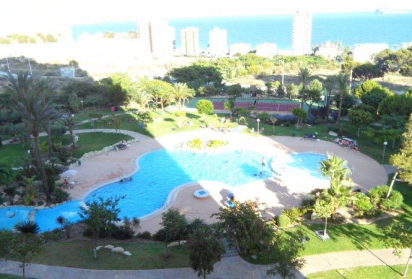 Segunda mano - Apartamento -
Benidorm - Poniente