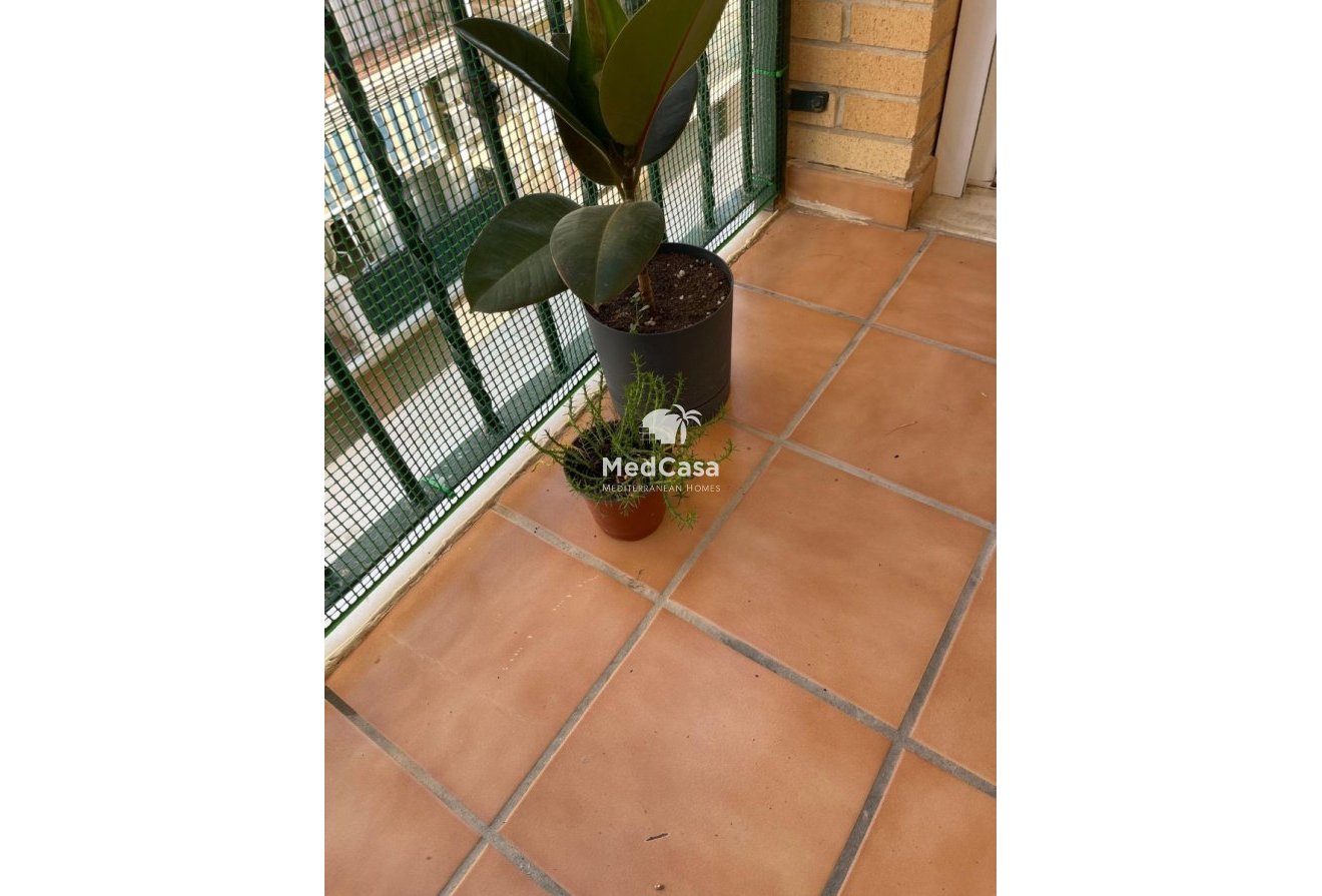 Segunda mano - Apartamento -
Almoradí