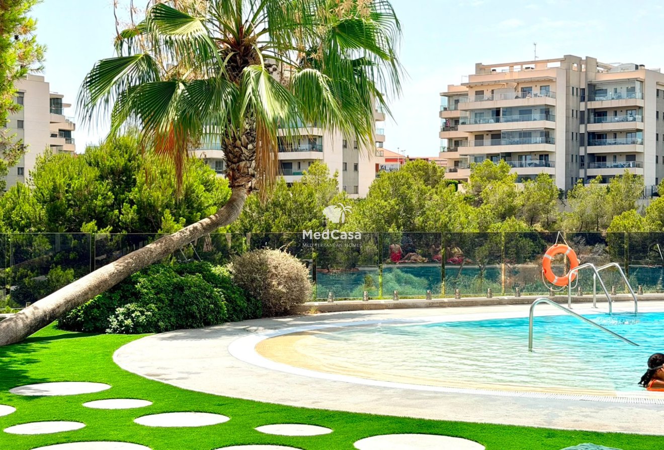 Segunda mano - Apartamento -
Orihuela Costa - La Zenia