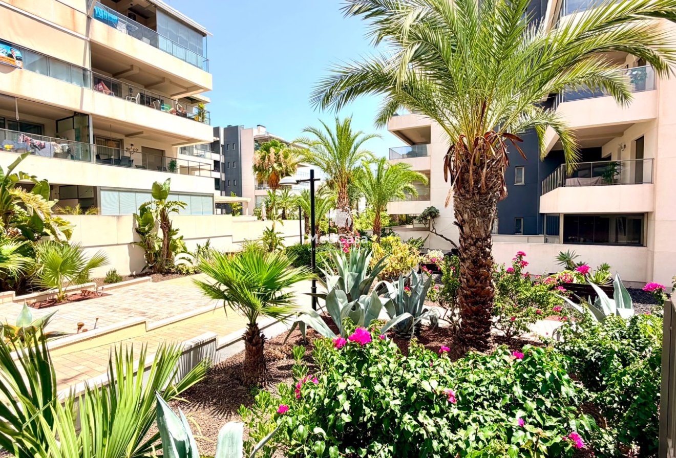 Segunda mano - Apartamento -
Orihuela Costa - La Zenia
