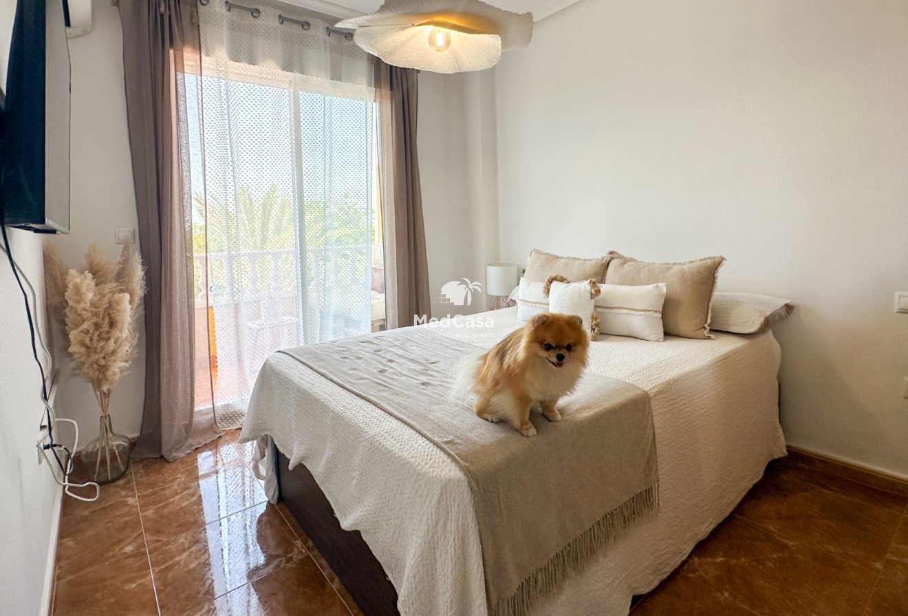 Segunda mano - Apartamento -
Guardamar del Segura