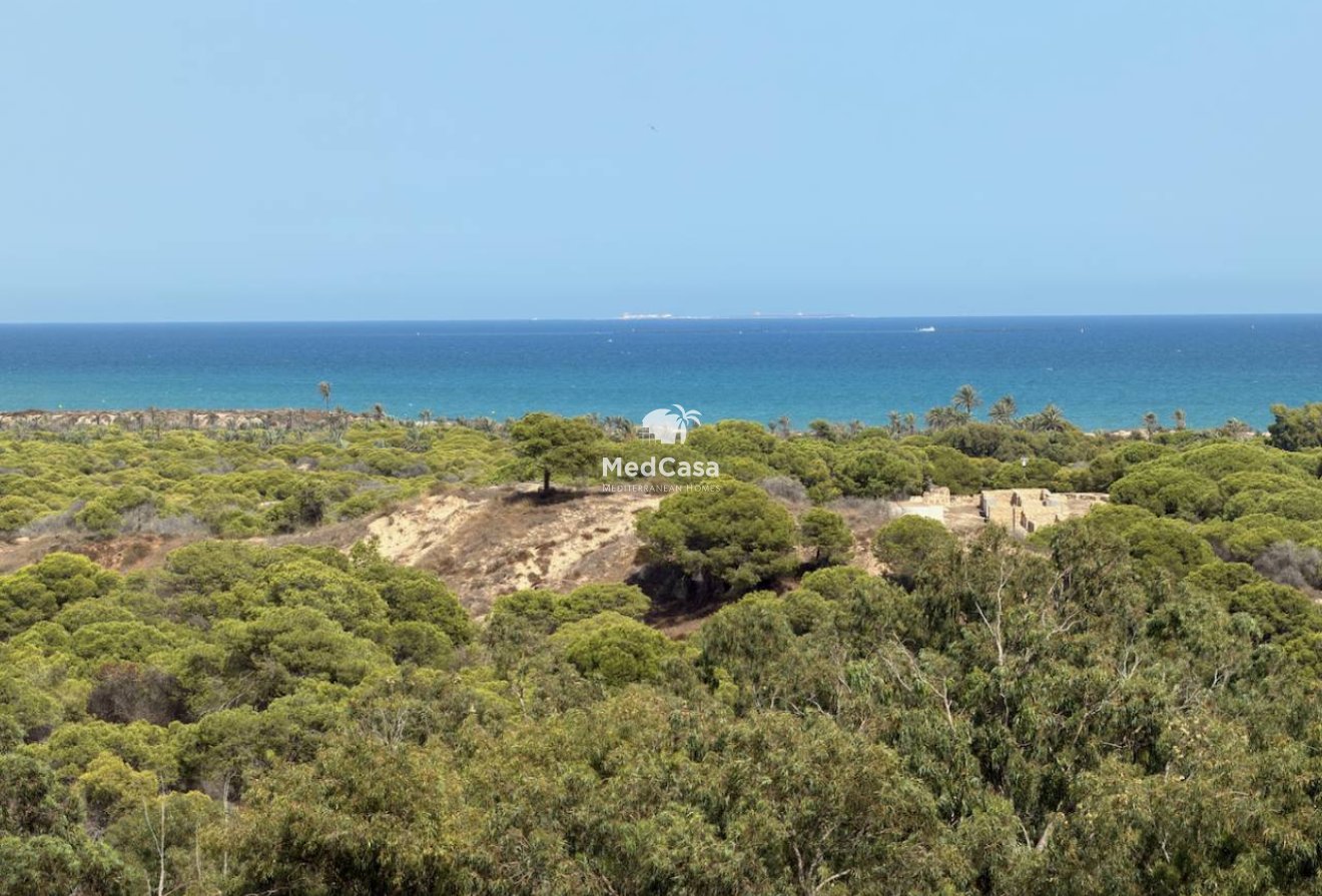 Resale - Apartment -
Guardamar del Segura