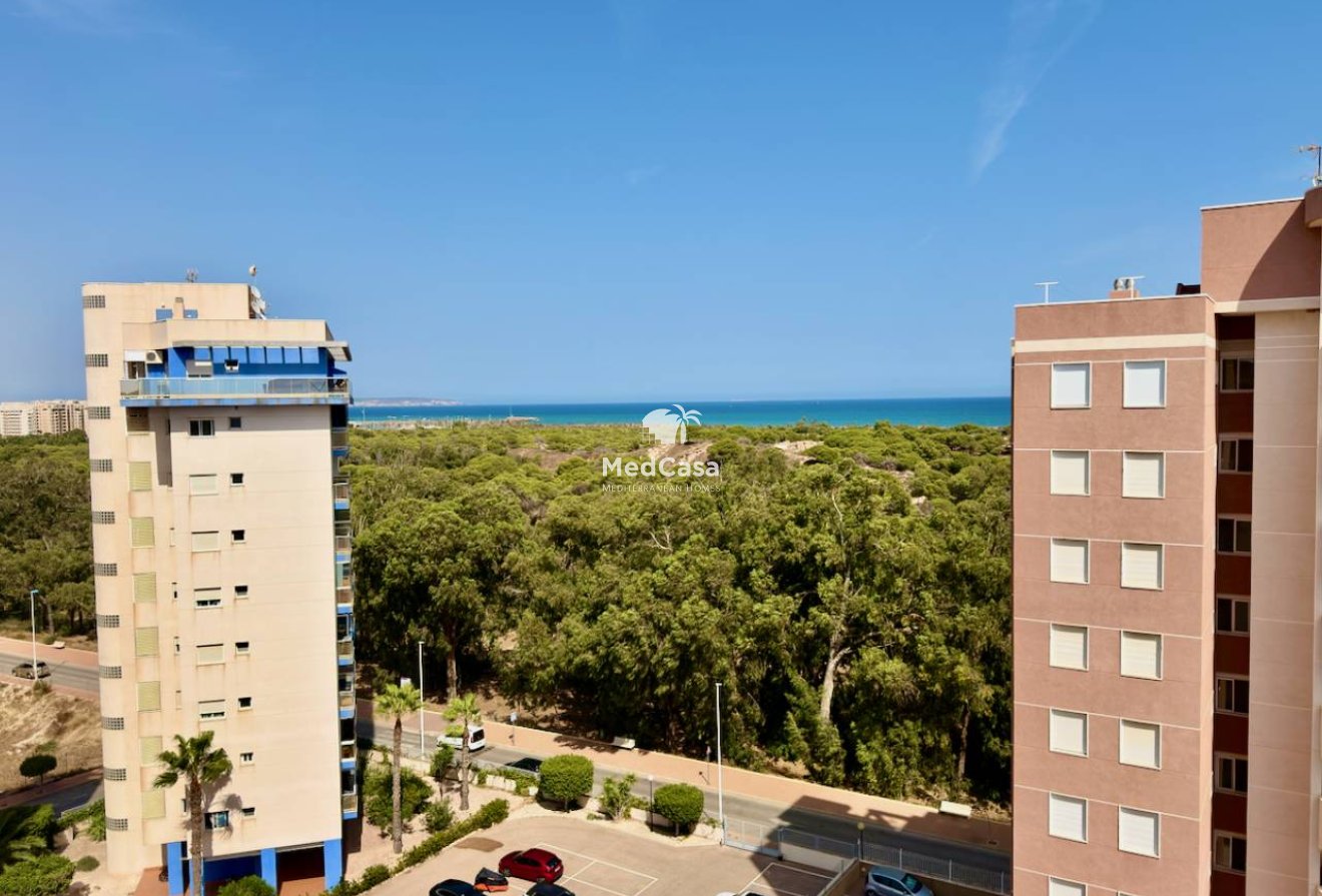 Resale - Apartment -
Guardamar del Segura