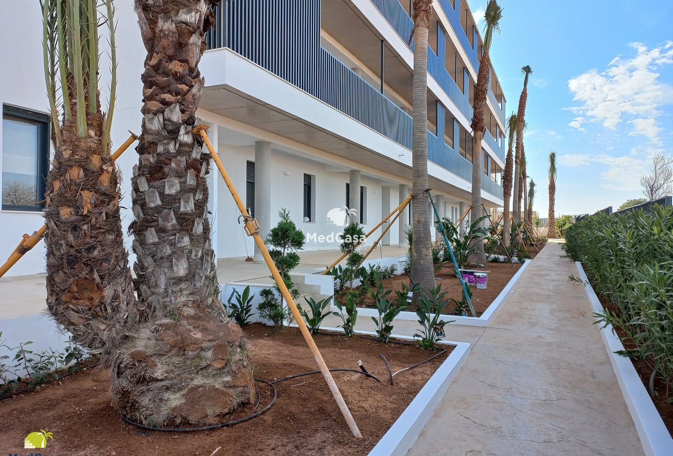 Obra nueva - Apartamento -
La Manga