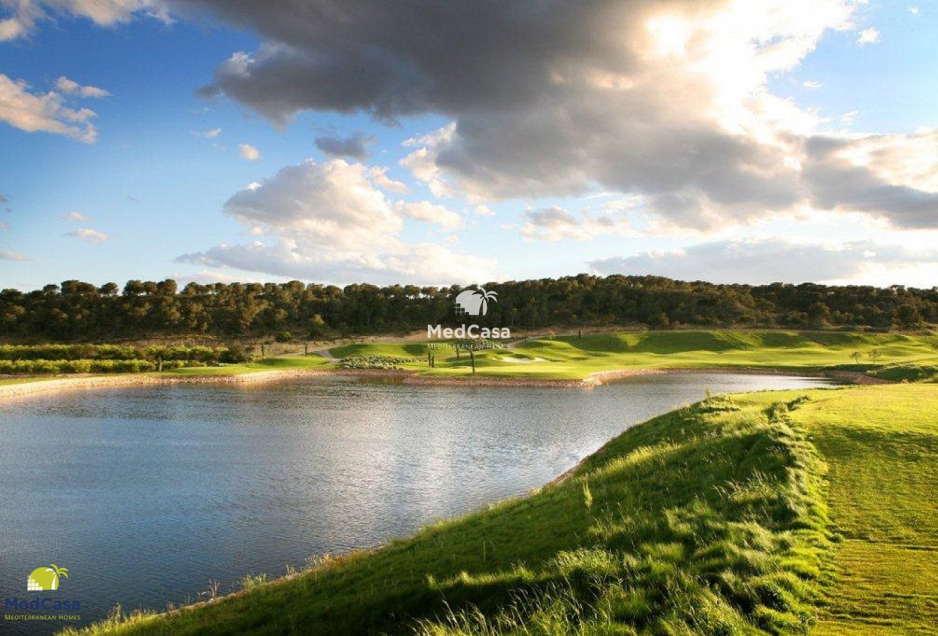 Obra nueva - Ático -
Golf Las Colinas