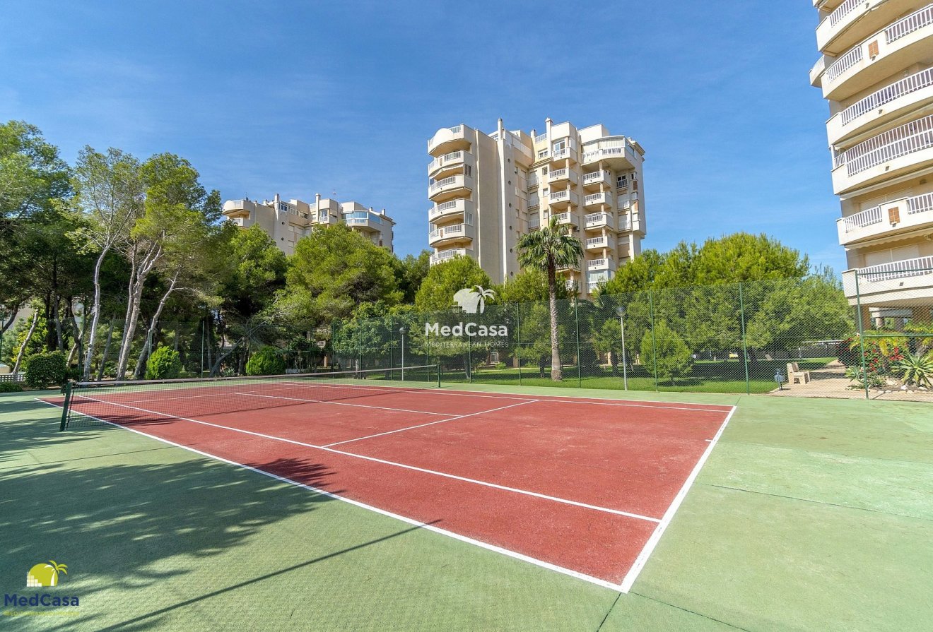 Resale - Apartment -
Campoamor