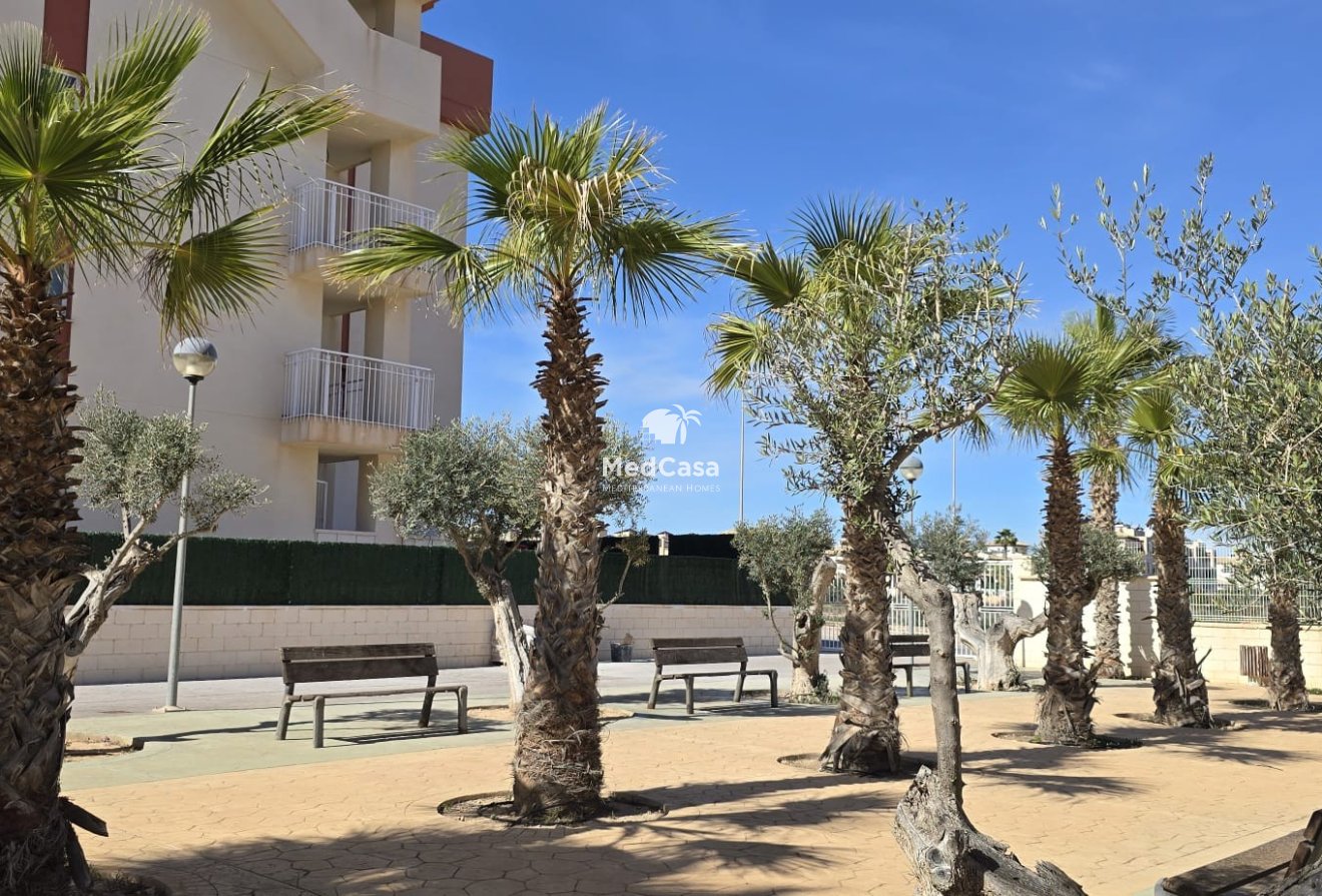 Neubau - Apartment -
Orihuela Costa