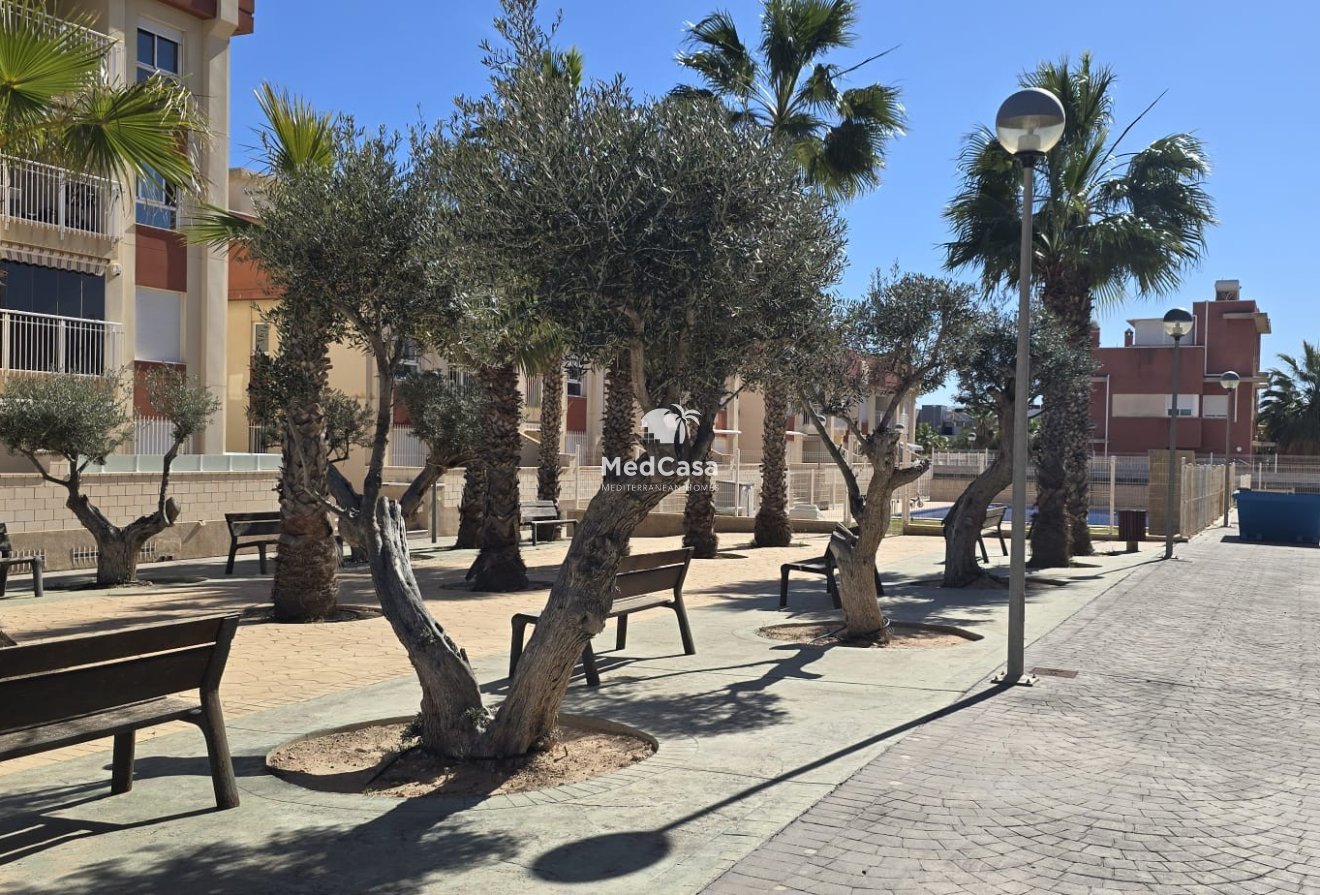 Neubau - Apartment -
Orihuela Costa