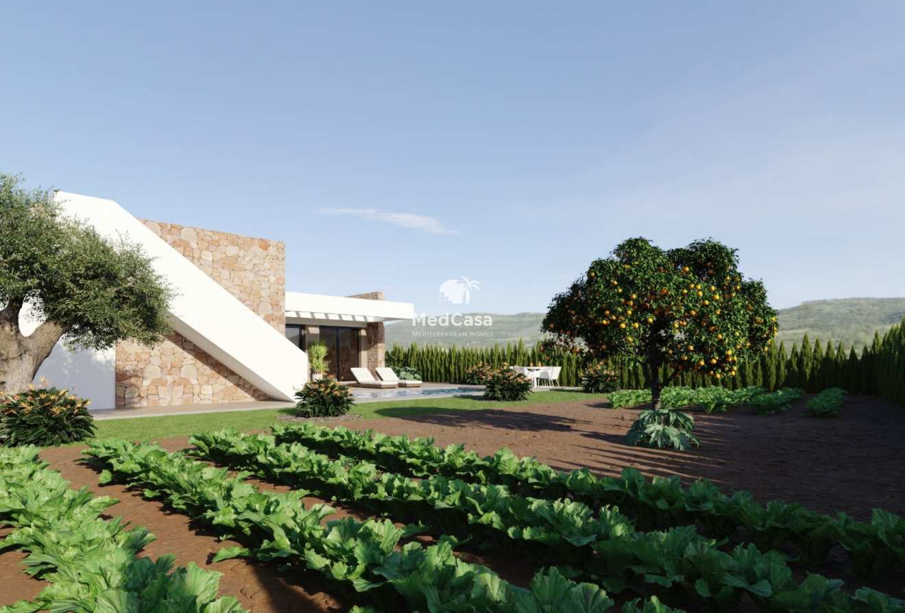 Obra nueva - Villa -
Fuente Alamo