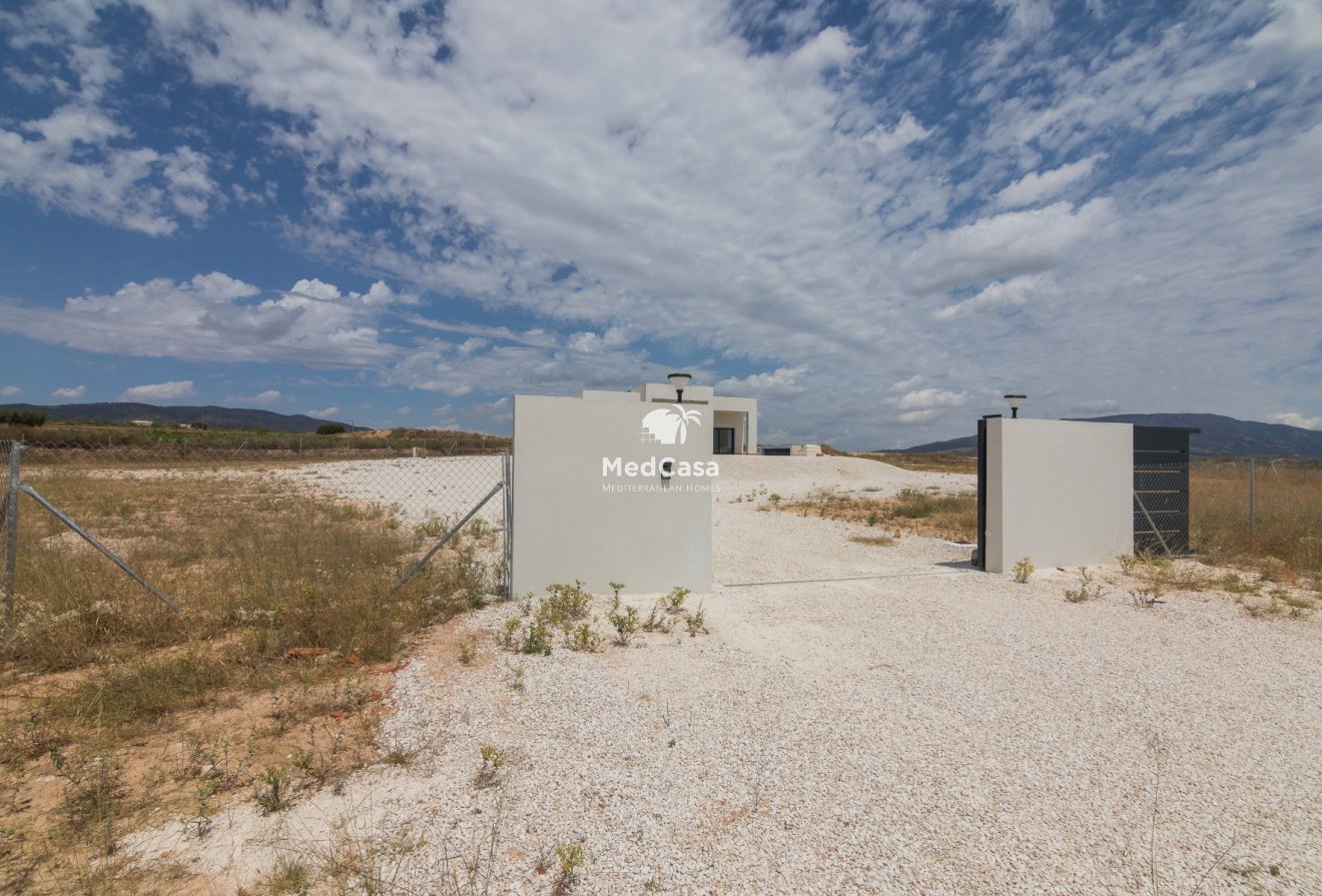 New Build - Villa -
Aspe