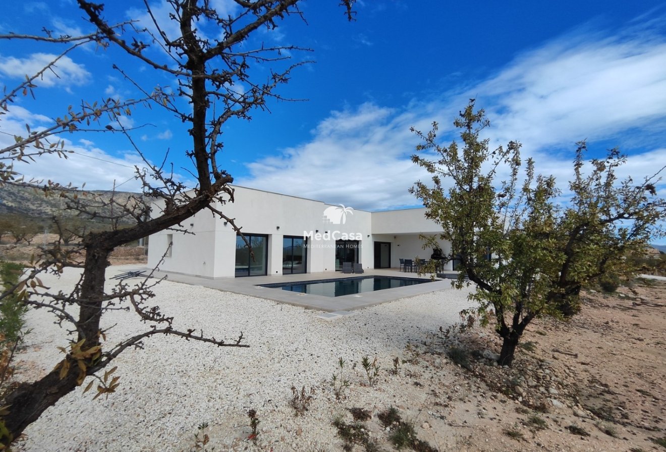 New Build - Villa -
Aspe