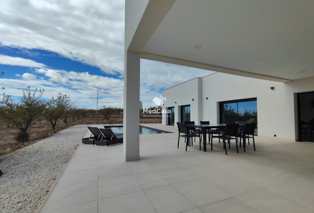 New Build - Villa -
Aspe