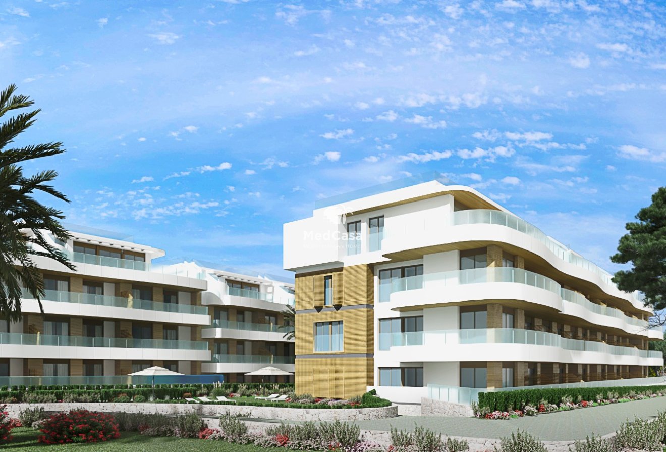 Neubau - Penthousewohnung -
Orihuela Costa