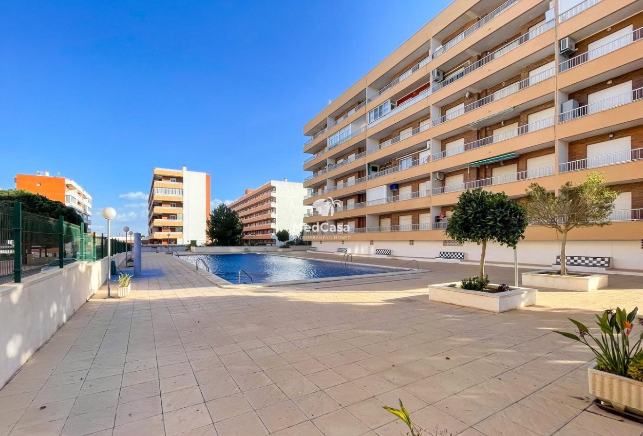 Segunda mano - Apartamento -
Torrevieja - Punta prima