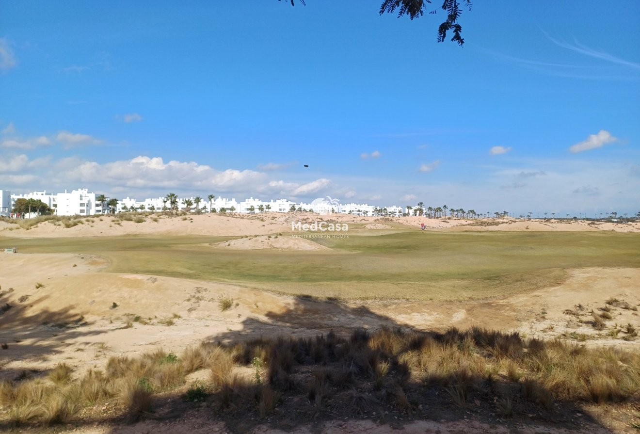 Segunda mano - Apartamento planta baja -
Roldan