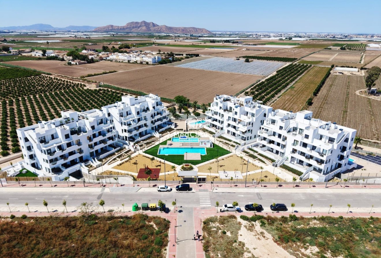 Obra nueva - Apartamento planta baja -
Santa Rosalia