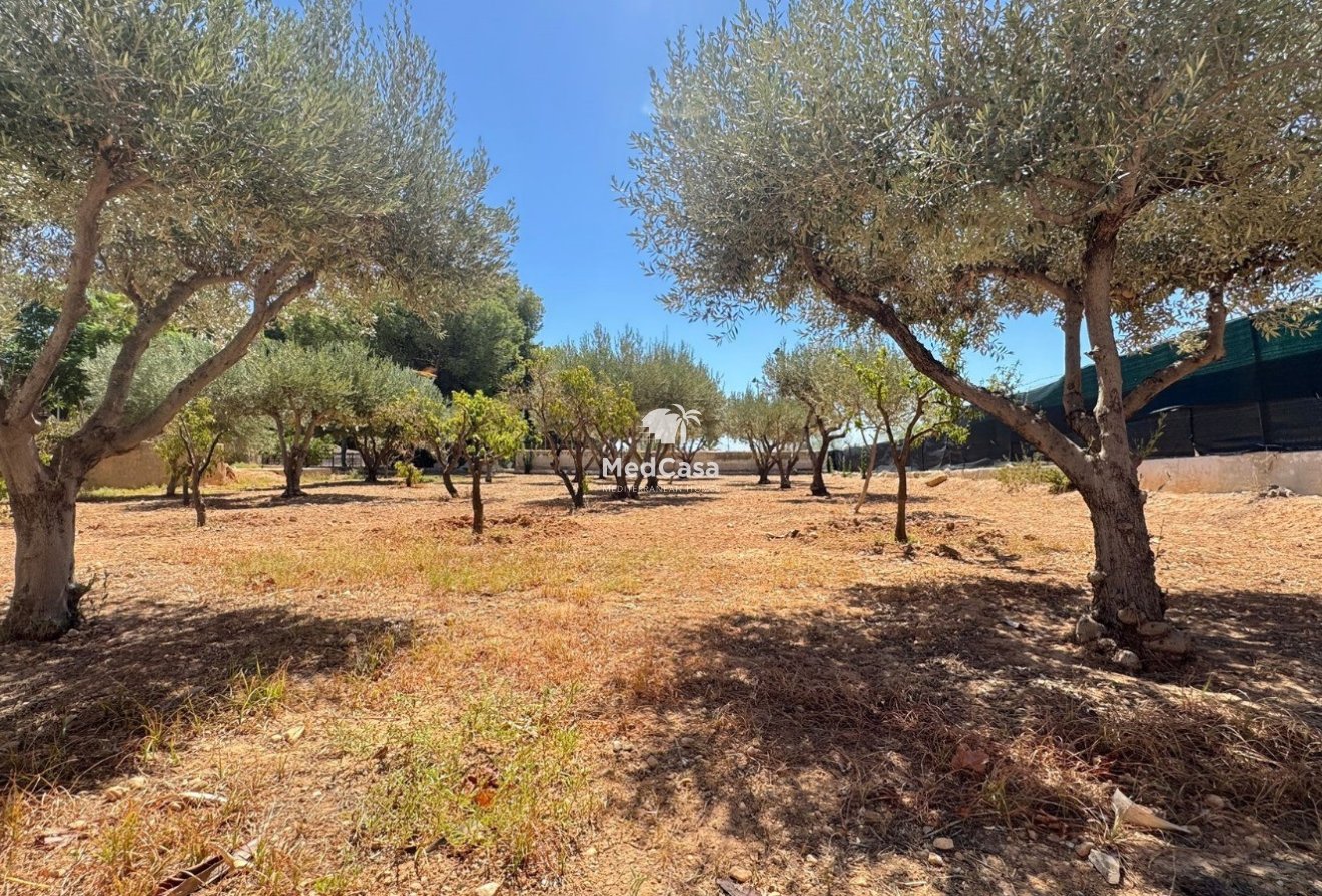Segunda mano - Villa -
Elche - Peña las Águilas
