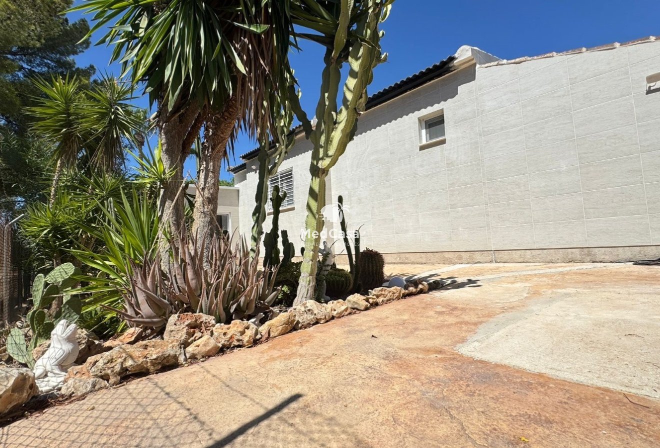 Segunda mano - Villa -
Elche - Peña las Águilas