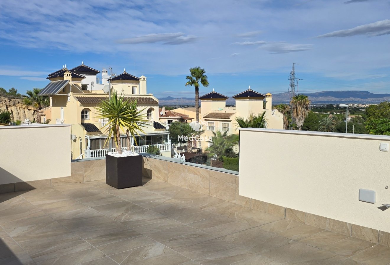 Obra nueva - Villa -
Rojales