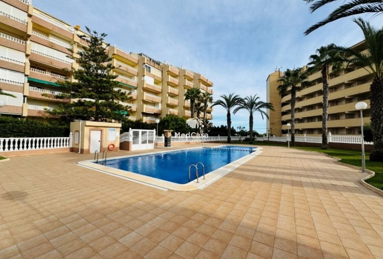 Segunda mano - Apartamento planta baja -
Guardamar del Segura - Guardamar