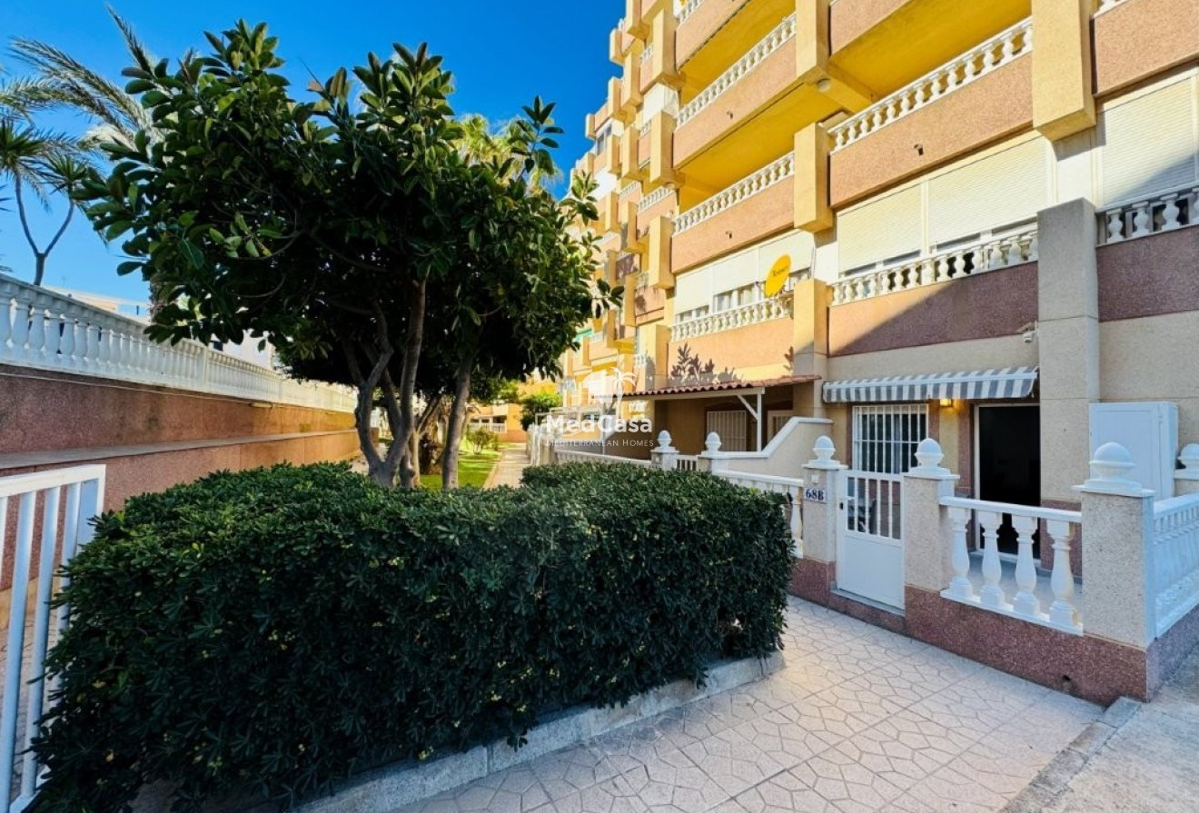 Segunda mano - Apartamento planta baja -
Guardamar del Segura - Guardamar