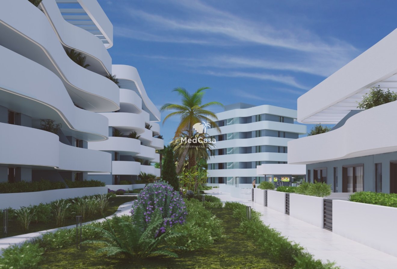 Obra nueva - Adosado -
Guardamar del Segura - Guardamar