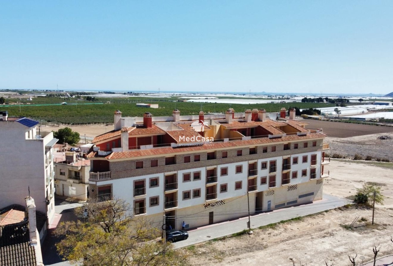 Obra nueva - Apartamento -
Avileses