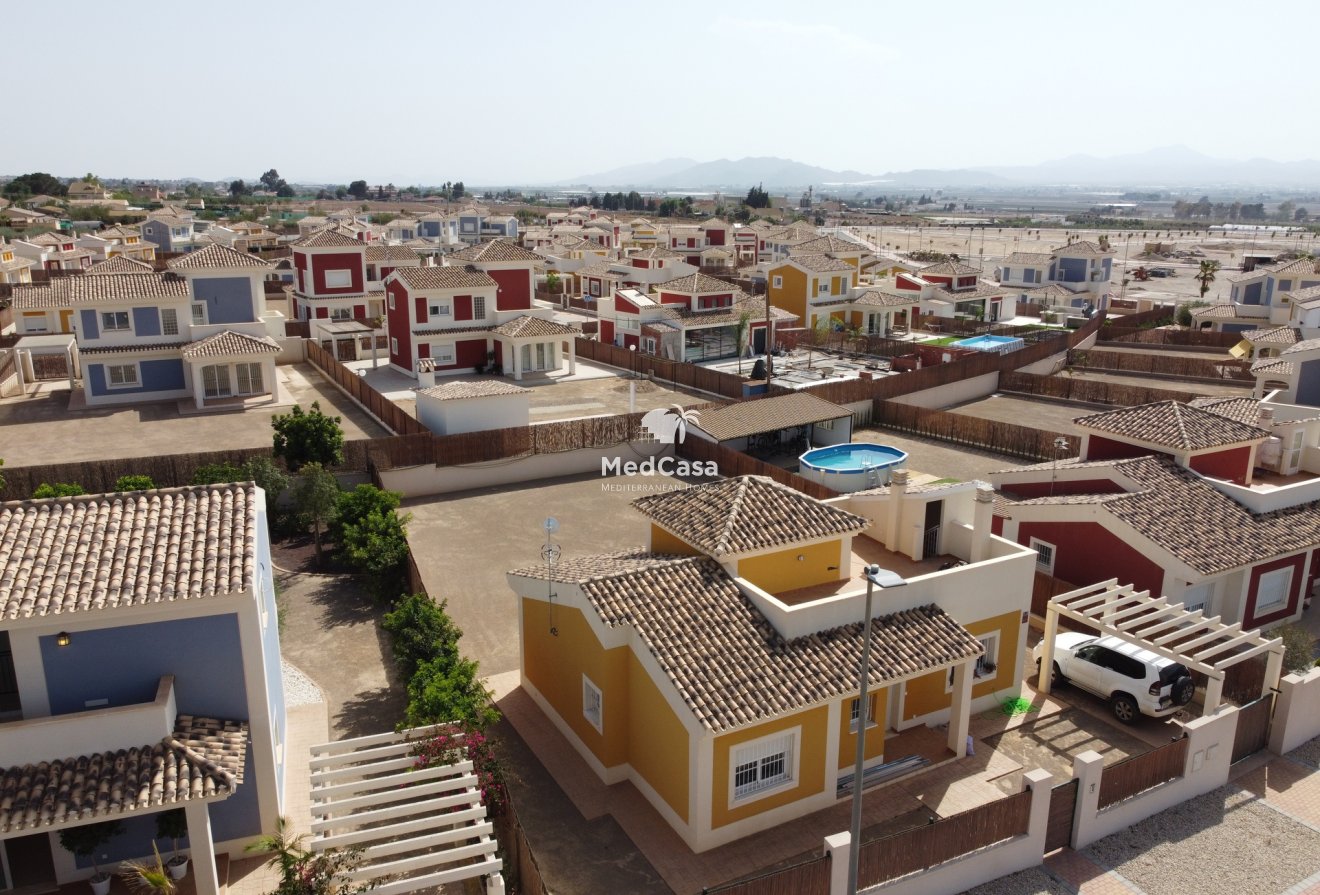 Obra nueva - Villa -
Purias