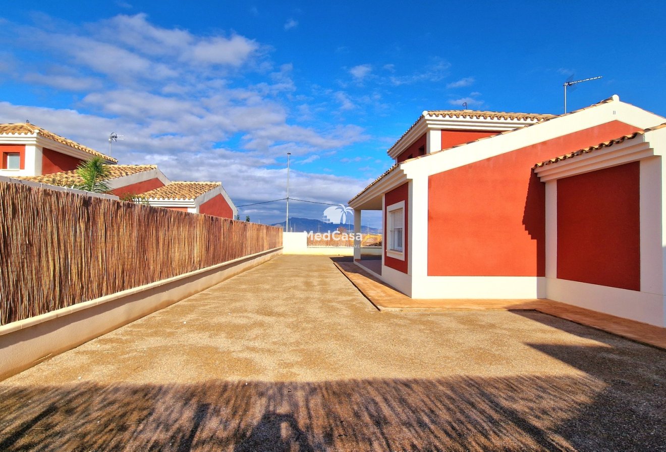 Obra nueva - Villa -
Purias