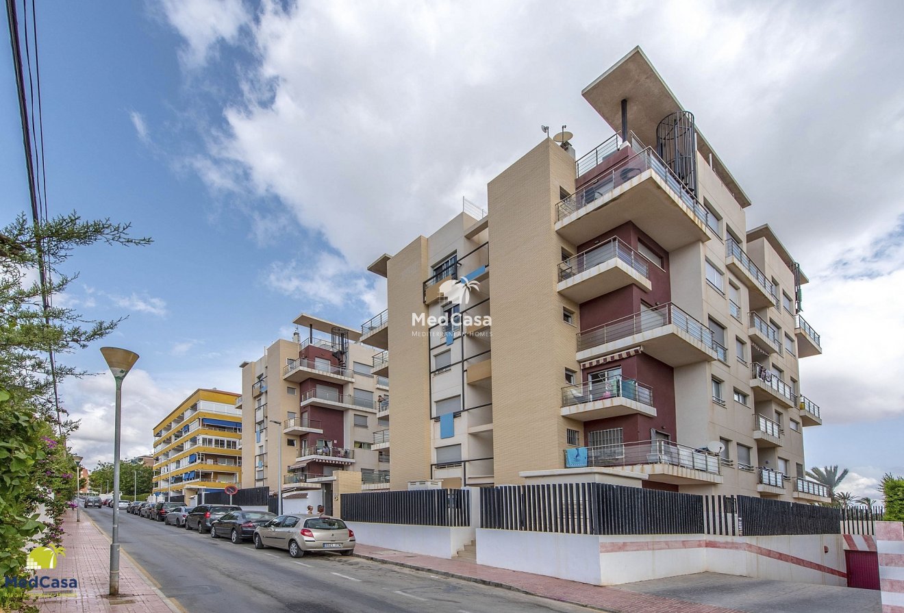 Segunda mano - Apartamento -
Torrevieja