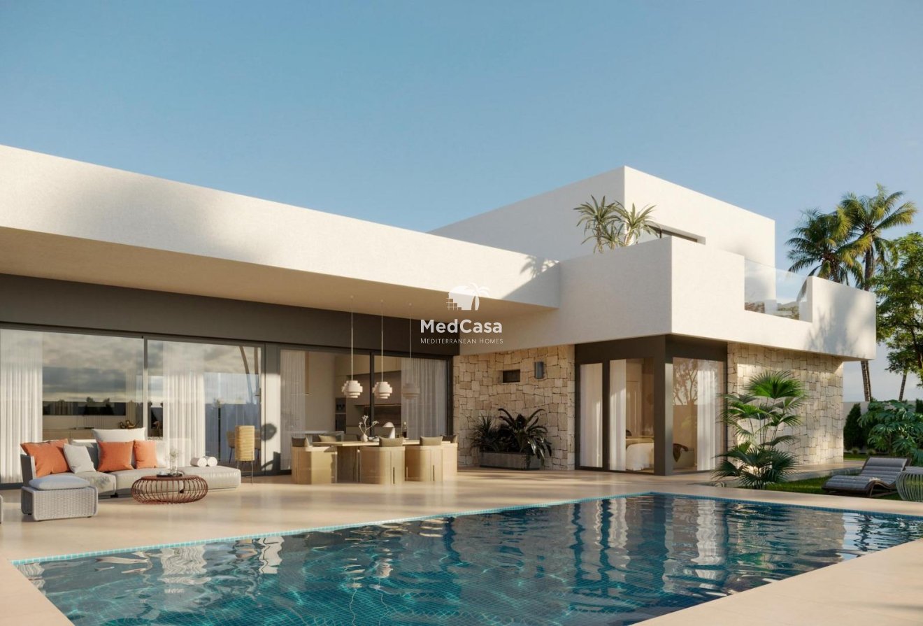 New Build - Villa -
Aspe