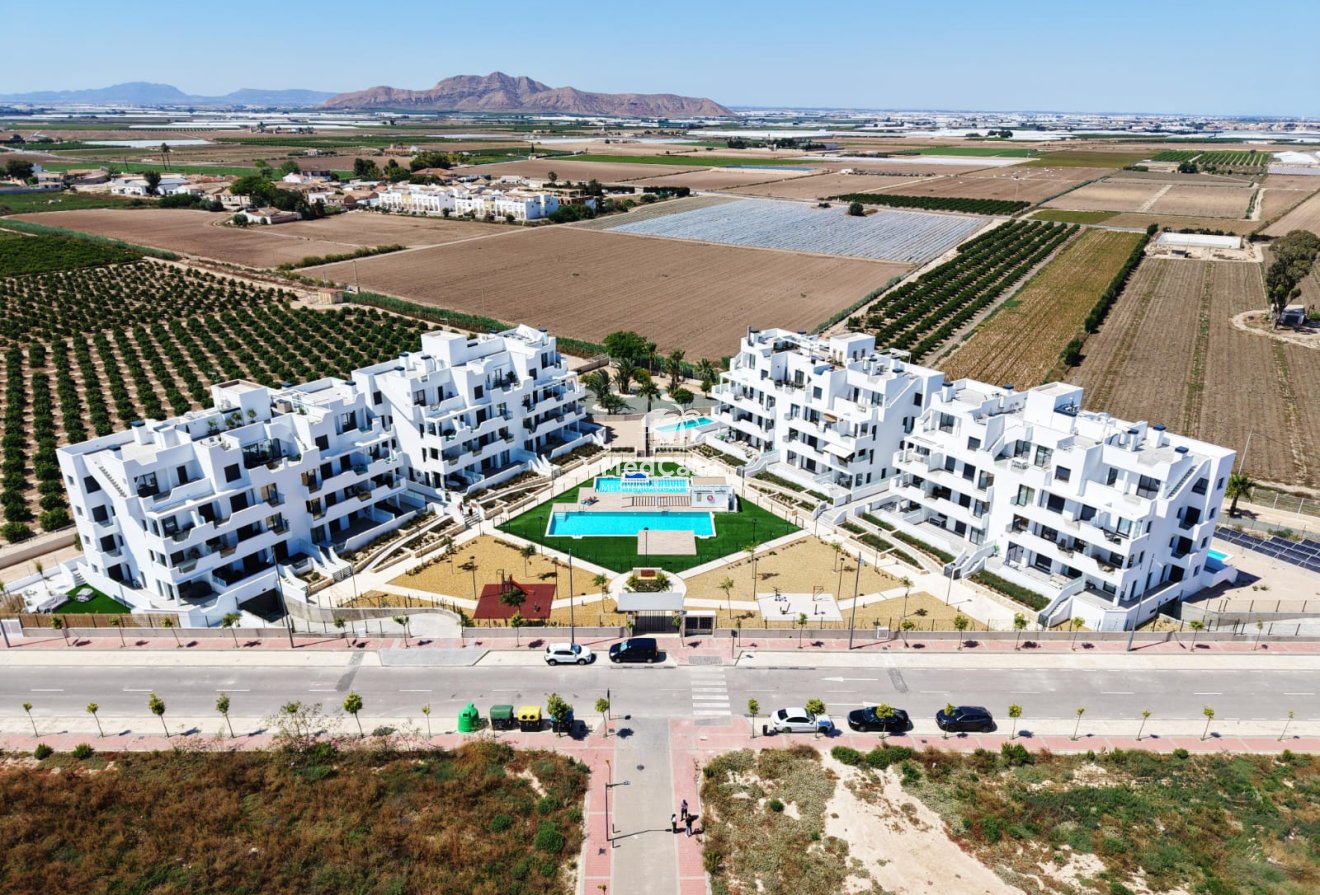 New Build - Apartment -
Santa Rosalia