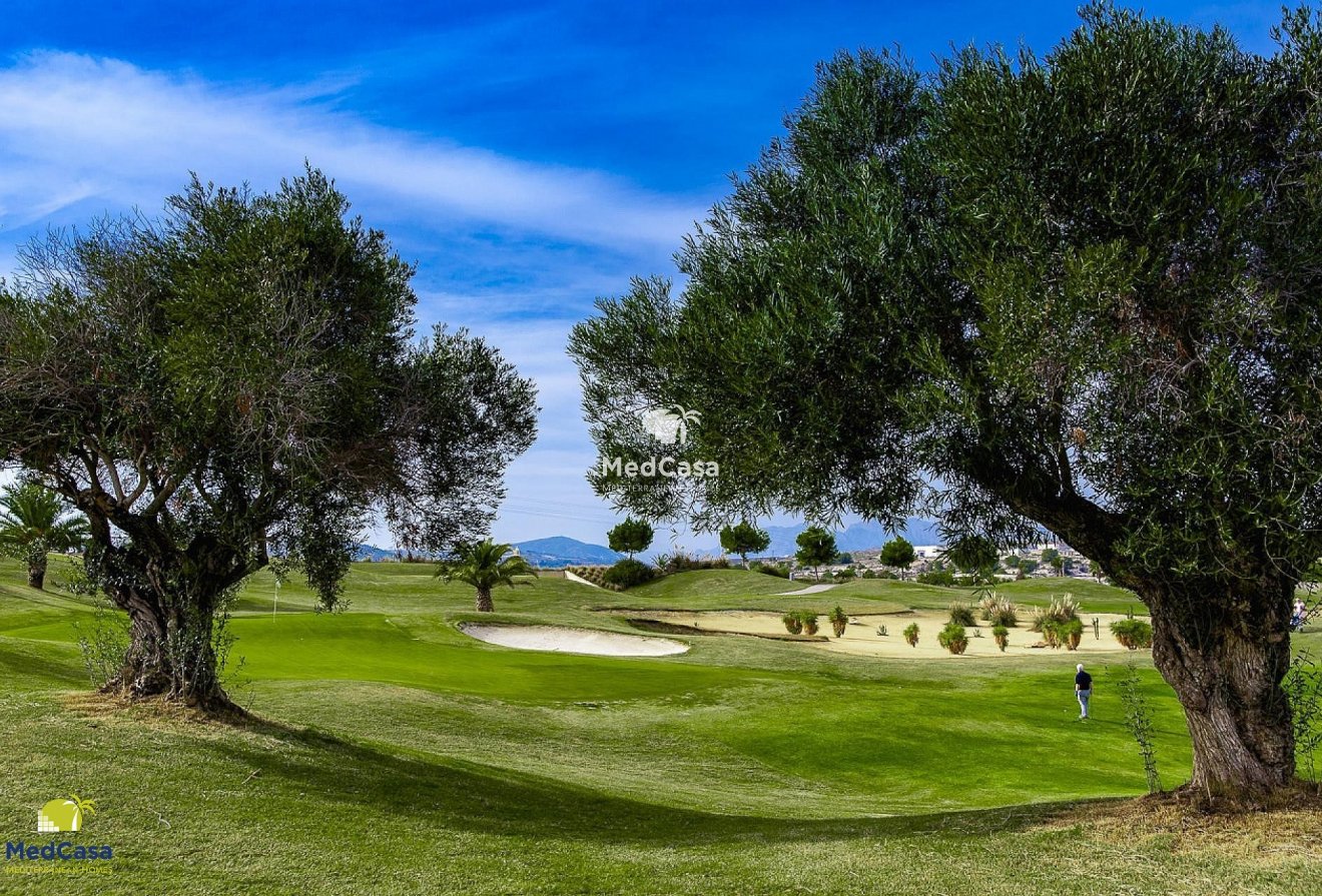 Obra nueva - Semi pareado -
Golf Vistabella