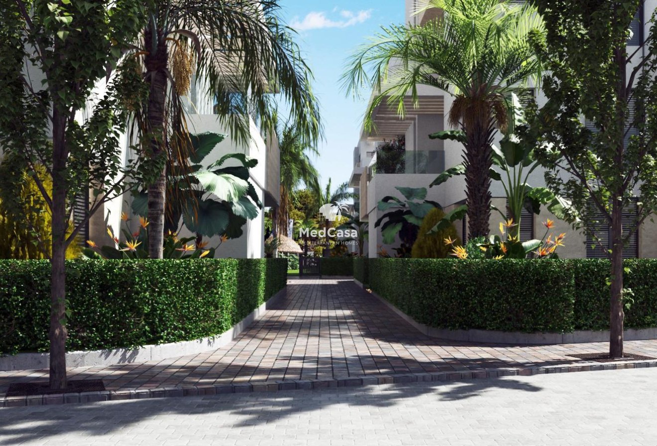 Neubau - Apartment -
Santa Rosalia