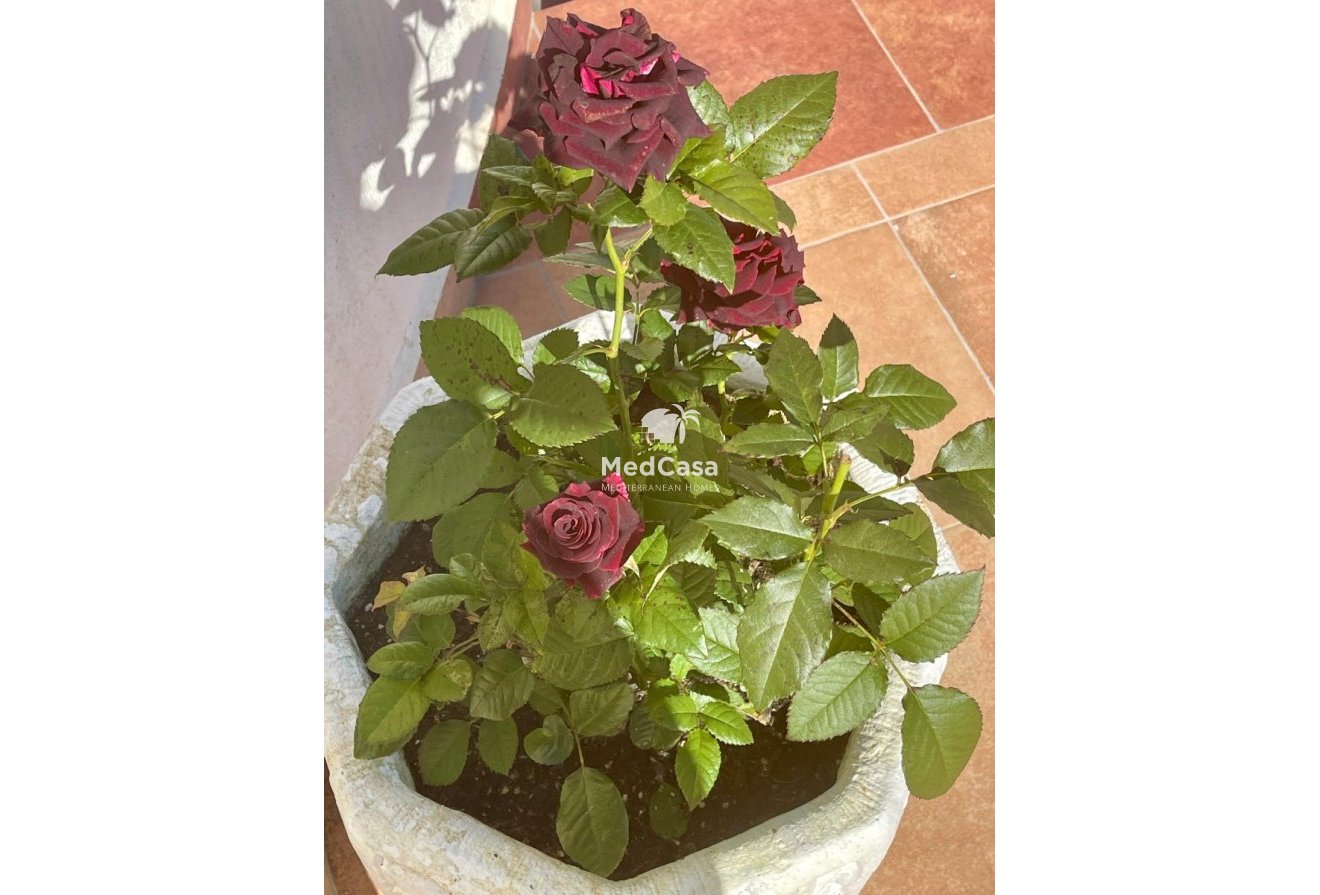 Wiederverkauf - Villa -
Moraira - Benimeit