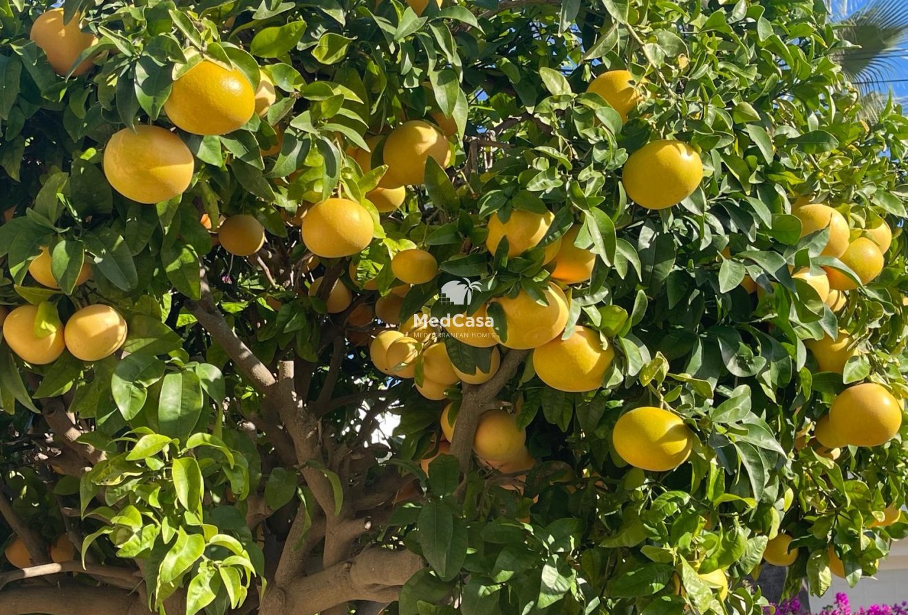 Wiederverkauf - Villa -
Moraira - Benimeit