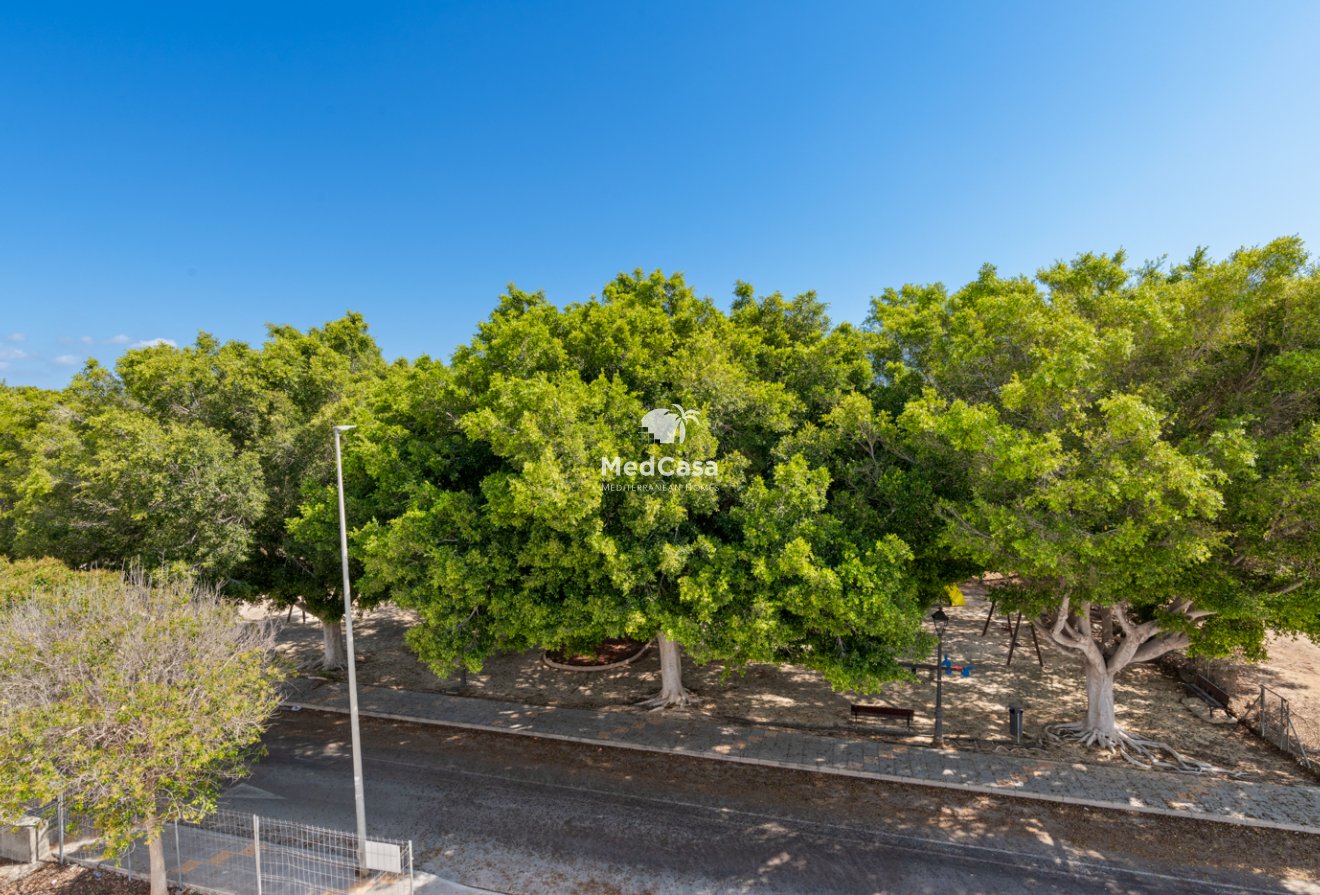 New Build - Villa -
Pilar de la Horadada