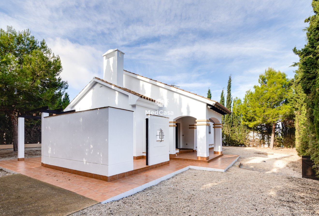 Neubau - Villa -
Fuente Alamo