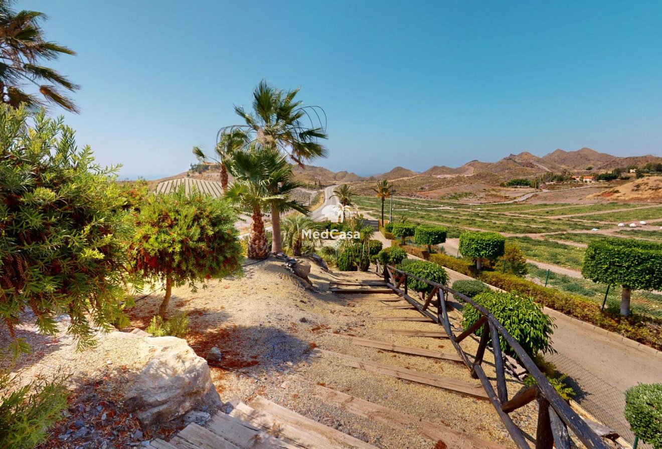 Neubau - Villa -
Aguilas