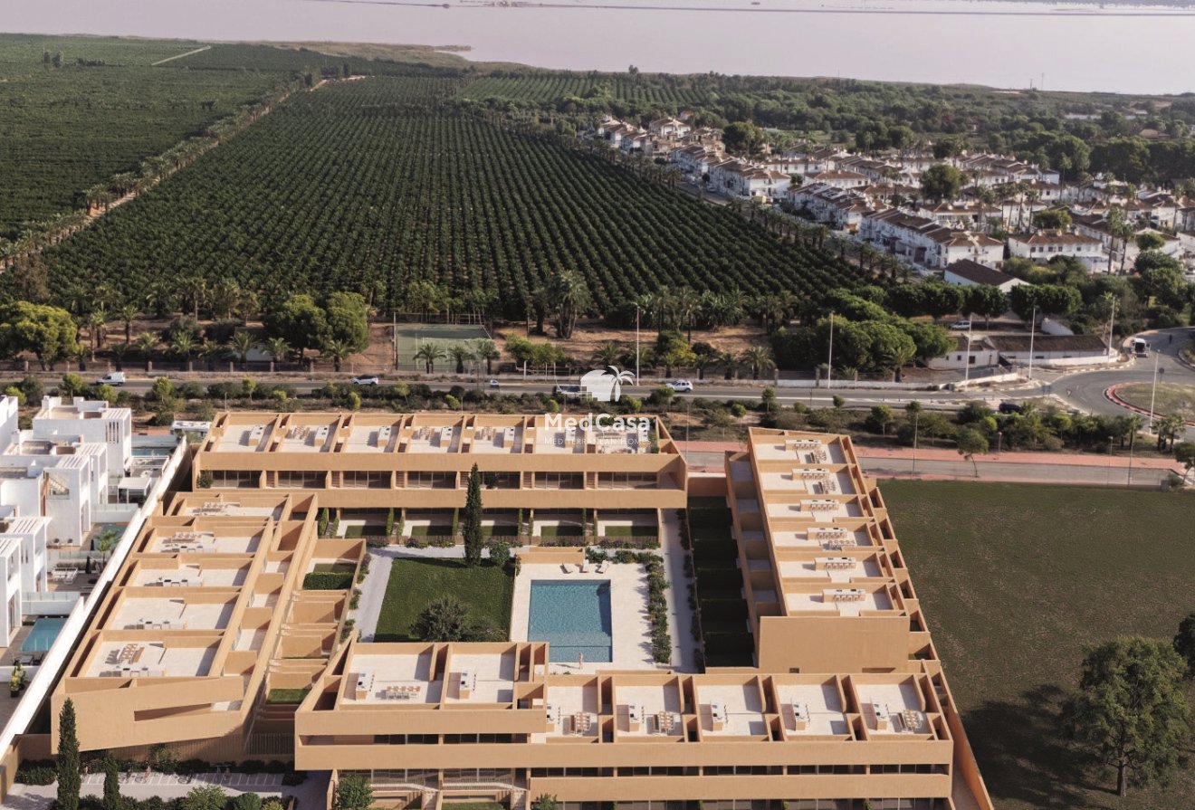 Obra nueva - Apartamento planta baja -
Torrevieja
