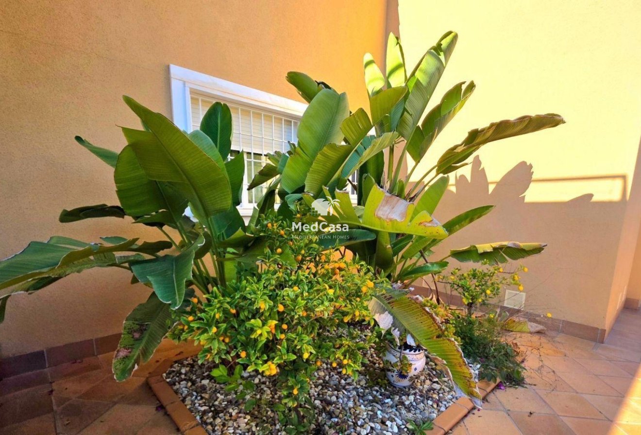 Wiederverkauf - Villa -
Dehesa de campoamor - Campoamor