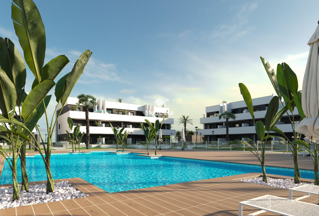 Obra nueva - Apartamento planta baja -
Guardamar del Segura