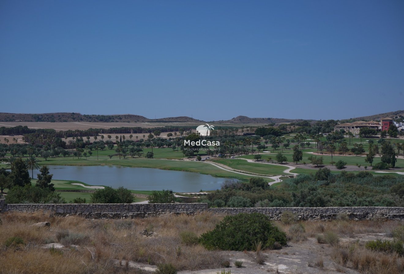 Obra nueva - Villa -
Golf La Finca