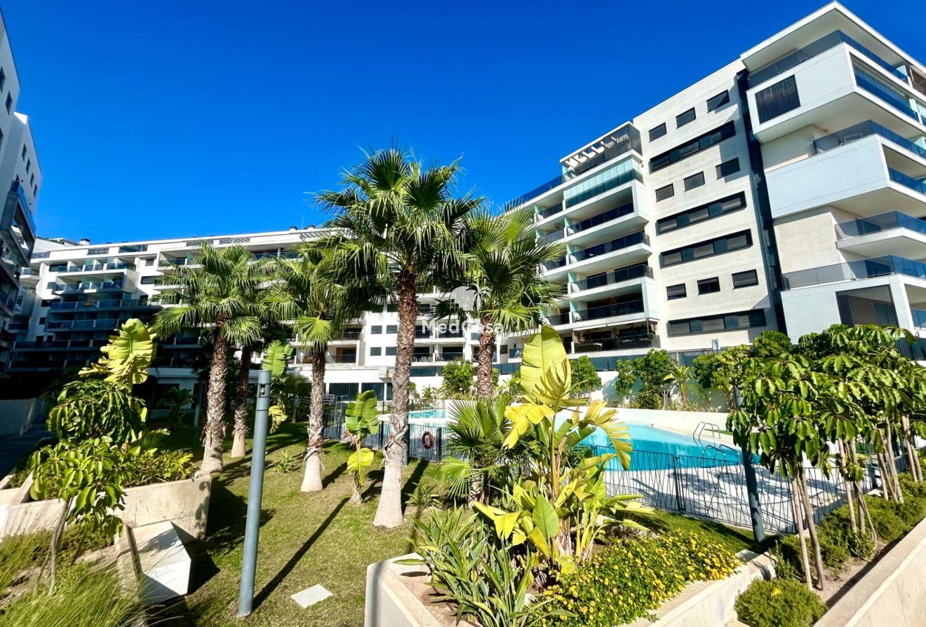 Wiederverkauf - Apartment -
Dehesa de campoamor - Campoamor